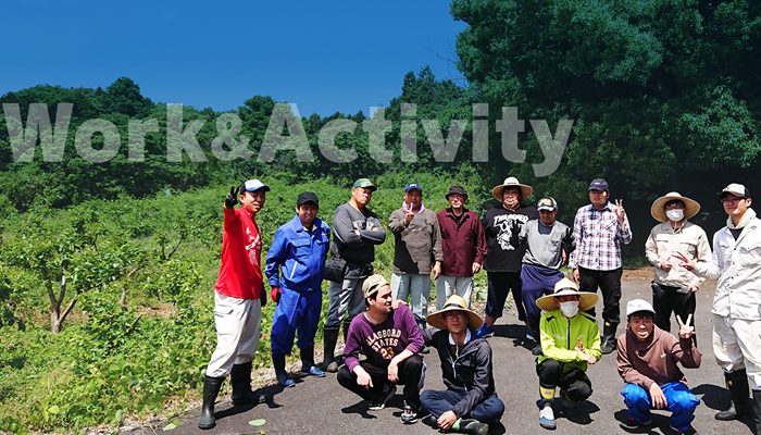 コロナ時代の仕事・家族・コミュニティ : 兵庫県民の声からみるウィズ/ポストコ… 通販 コロナ時代の仕事・家族・コミュニティ : 兵庫県民の声から